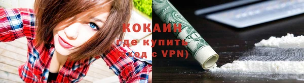 шишки Волосово
