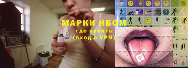 шишки Володарск