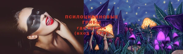 шишки Волосово