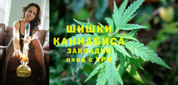 шишки Волосово