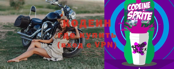 шишки Володарск