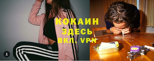 шишки Володарск