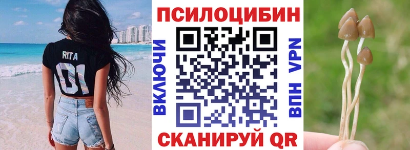 Галлюциногенные грибы Psilocybe  Купить  Билибино 